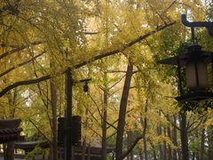 -大慈恩寺(大雁塔)