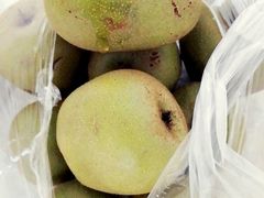 -百果园PAGODA(应元路店)