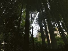-胶囊画廊