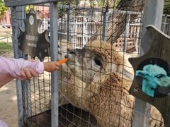 -意大利农场度假村