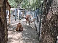 -长白岛森林公园