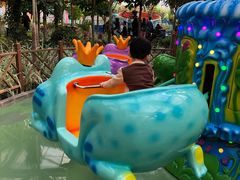 游乐设施-南宫五洲植物乐园