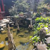 酒店地理位置方便,出门就是洋人街