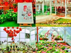 -盈香心动乐园