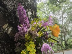 -白草畔自然风景区