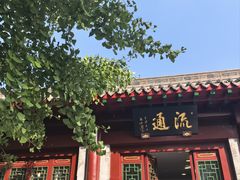 -护国法轮寺