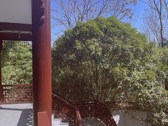 -梅园