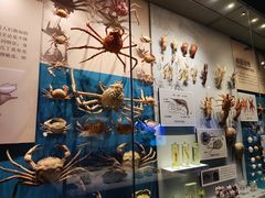 -贝林大翅鲸简餐厅(国家海洋博物馆店)