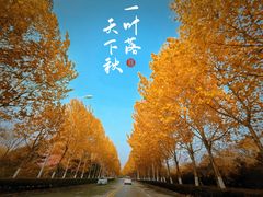 -大蜀山国家森林公园