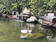 -北京市海淀外国语实验学校