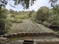 -方城县七峰山生态旅游区