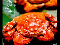 -成隆行·蟹王府(淮海店)