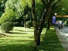 -上海交通大学医学院附属瑞金医院(总院)