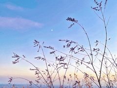 -妙峰山风景名胜区