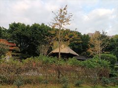 -深圳国际园林花卉博览园