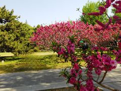 -莲花池公园