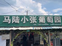 -马陆小张葡萄园农家乐