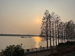 -太阳岛度假酒店