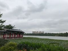 -洛龙公园