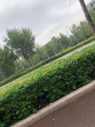 -HEYAN长风荷妍专业脱毛美肤
