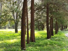 -国家植物园南园