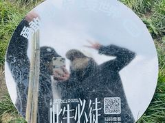 -萍乡武功山风景名胜区