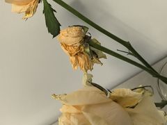-聚汇三少·龙虾·中餐厅(莫邪路新天地店)