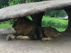 -北京野生动物园