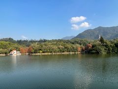 -深圳仙湖植物园