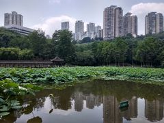 -龙头寺公园