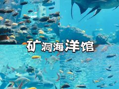 -长鹿旅游休博园