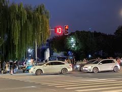 -金陵中学(河西分校)