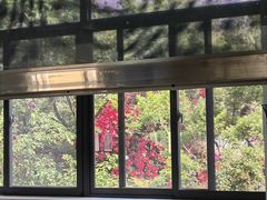 -云南师范大学(一二一西南联大校区)