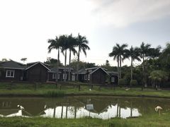-广东花都香草世界旅游度假区