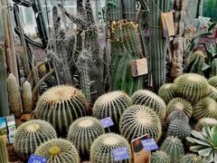 -国家植物园南园