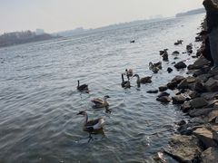 -沈阳鸟岛