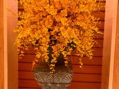-悦融琥珀·京鲁菜·海味珍品(西单店)