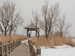 -野鸭湖国家湿地公园