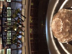 无锡新湖铂尔曼大酒店-无锡新湖铂尔曼大酒店