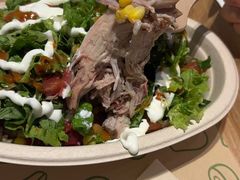 -油梨树 AVOCADO TREE(亮马桥店)