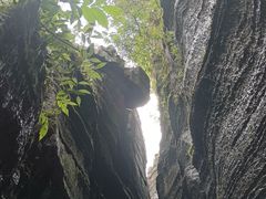 -梭布垭石林景区