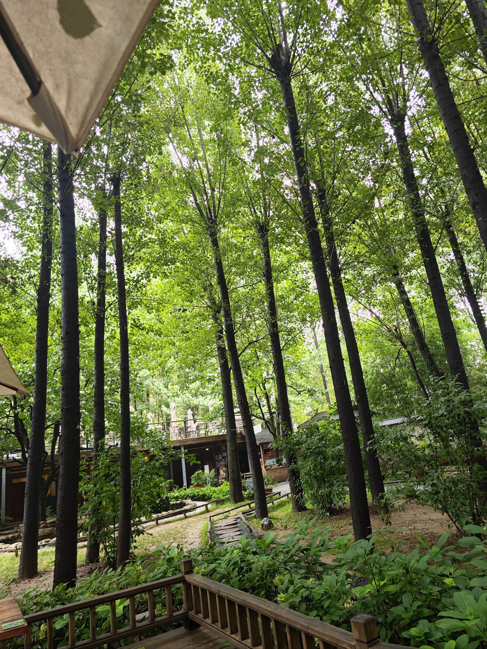 林间山庄值得来