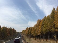 -塞罕坝国家级自然保护区