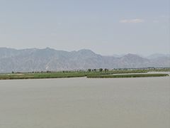 -哈素海