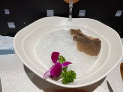 -巴奴毛肚火锅(九洲店)