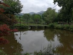 -黄陂区野村谷景区