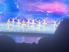 -中央芭蕾舞团·中芭艺蕾(酒仙桥明星校区)