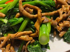 -大树头森林餐厅(番禺广场店)