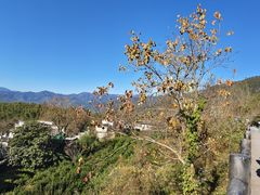 -塔川景区