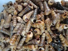 -宾朋海鲜特色美食餐厅·纯手工鲅鱼水饺(兴海路店)